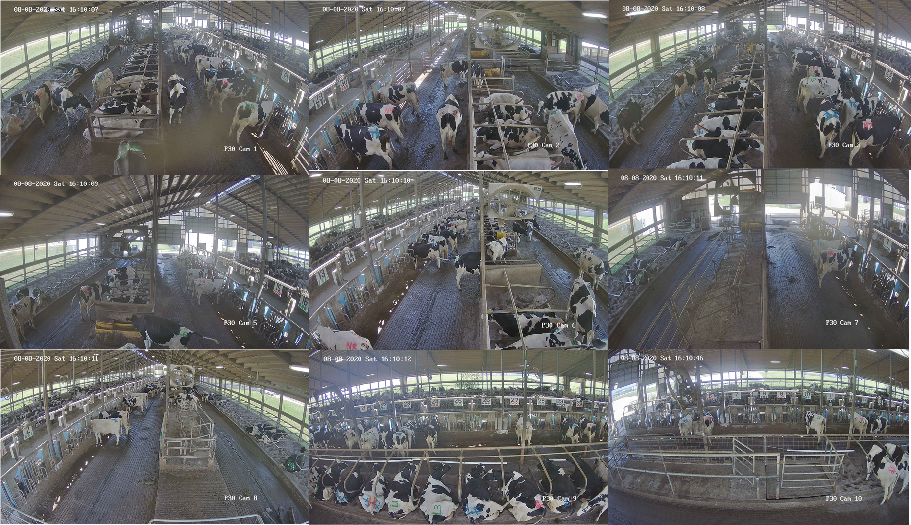New equipment builds research capacity, collaboration – Dairy ...