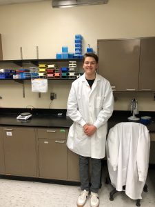 Manufacturing natural cheeses containing bioactive peptides with improved antihypertensive properties