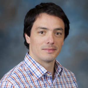 Measuring methane emissions in young bulls: the fast track to more sustainable dairy farming?