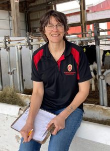 Calan feeding gates in Marshfield ARS lactating cow barn