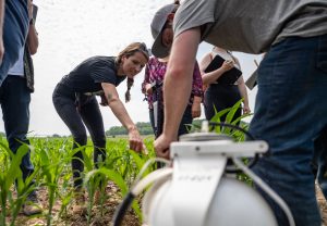 UW–River Falls announces four faculty fellowships funded by state-sponsored Dairy Innovation Hub