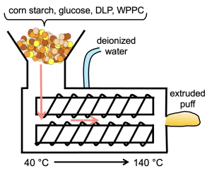 CALS postdoc Rachel Dietrich creates nutritious puffed snacks from dairy whey coproducts