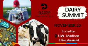Dairy Innovation Hub to host Dairy Summit Nov. 20