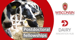 Six UW-Madison postdoctoral fellowships funded by the Dairy Innovation Hub