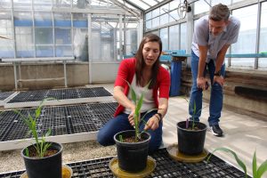 New faculty profile: Rebecca Smith