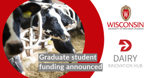 Dairy Innovation Hub funds six UW–Madison graduate projects, including co‑funded work with UW–Platteville and UW–River Falls